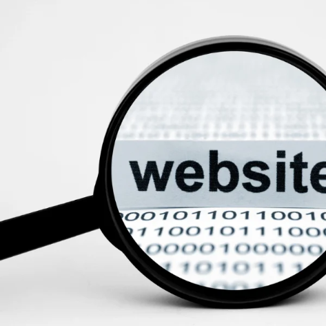 Magnifying glass over the word website
